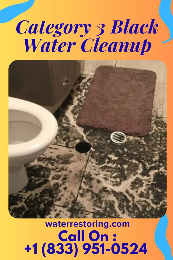Category 3 Black Water Cleanup in Beaulieu, MN