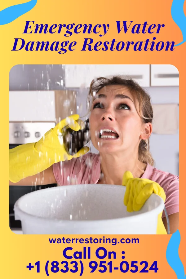 Emergency Water Damage Restoration in Beaulieu, MN