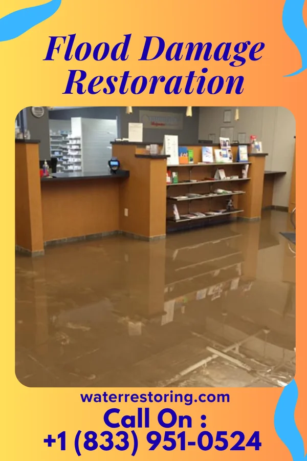 Flood Damage Restoration in Beaulieu, MN