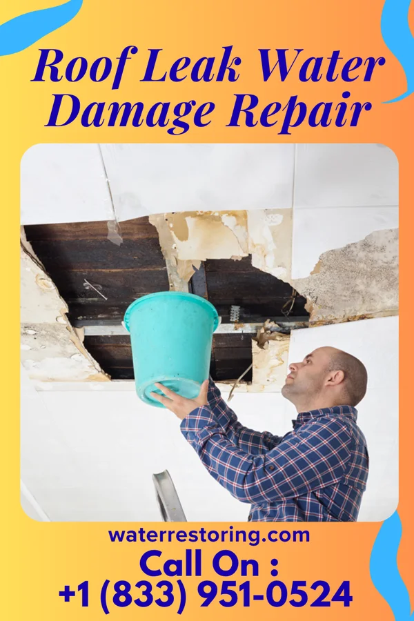 Roof Leak Water Damage Repair in Beaulieu, MN