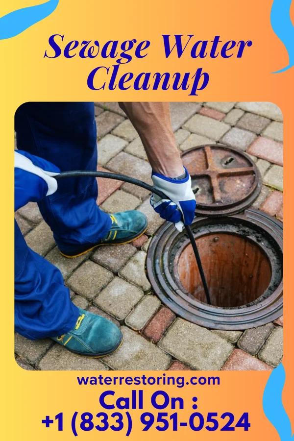 Sewage Water Cleanup in Beaulieu, MN